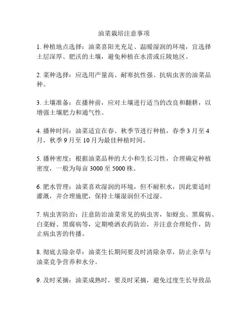 油菜栽培注意事项
