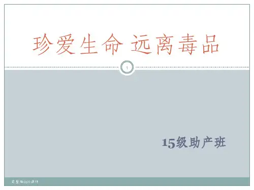主题班会《禁毒宣传》1---1完整ppt课件
