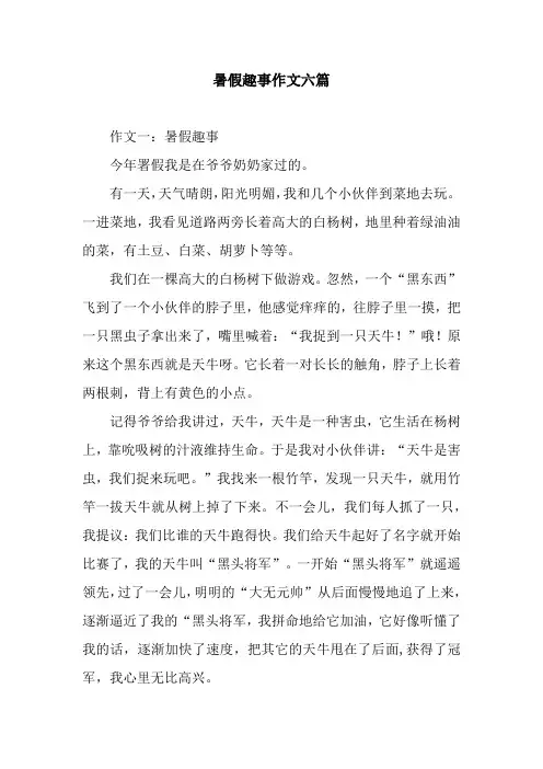 暑假趣事作文六篇