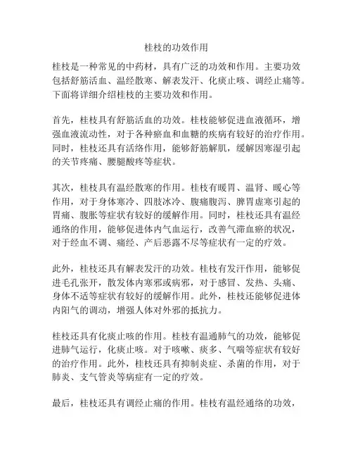 桂枝的功效作用