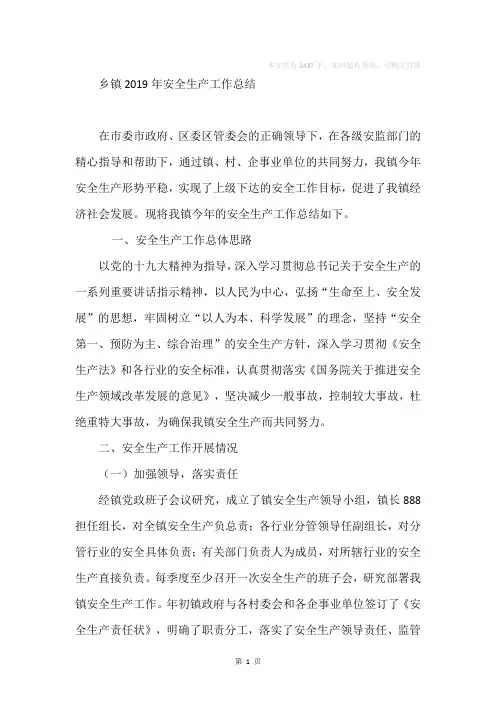 乡镇2019年安全生产工作总结_2
