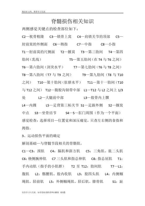 最新脊髓损伤平面
