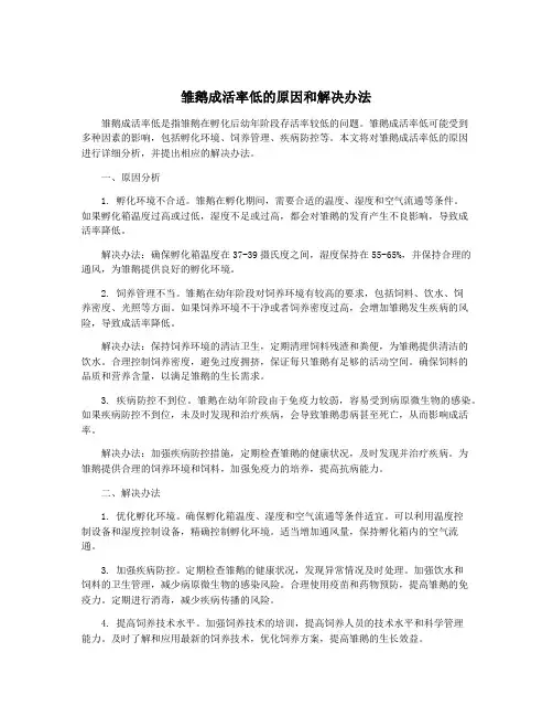 雏鹅成活率低的原因和解决办法