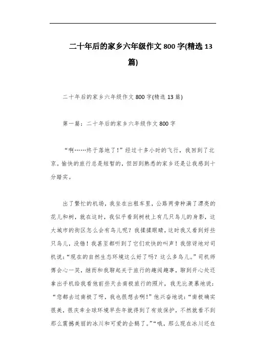 二十年后的家乡六年级作文800字(精选13篇)