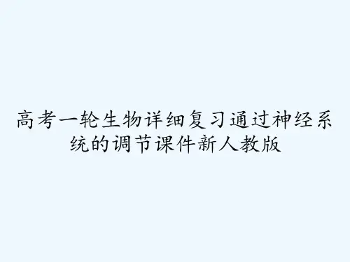 高考一轮生物详细复习通过神经系统的调节课件新人教版ppt