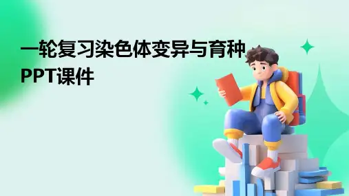 一轮复习染色体变异与育种PPT课件