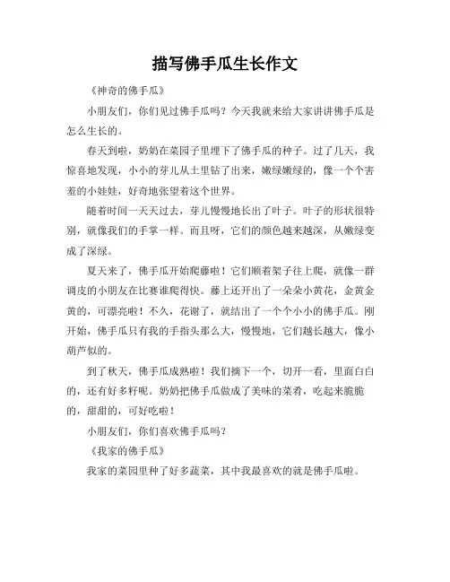 描写佛手瓜生长作文