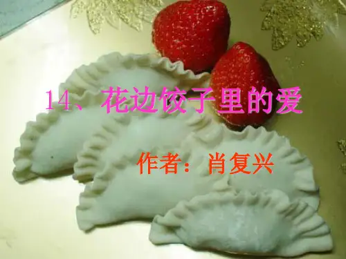 《花边饺子里的爱》