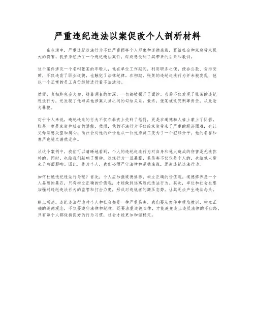 严重违纪违法以案促改个人剖析材料