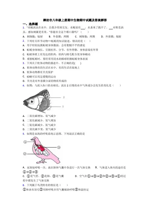 潍坊市八年级上册期中生物期中试题及答案解答