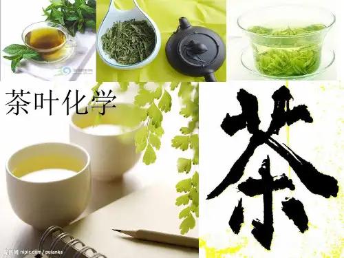 《茶叶化学绪论》ppt课件