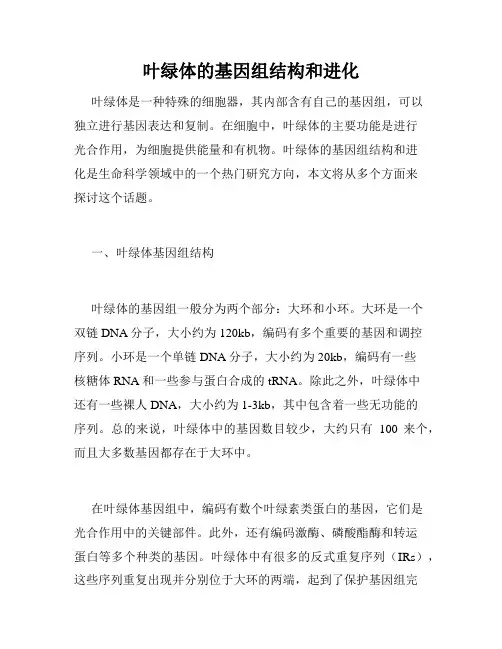 叶绿体的基因组结构和进化