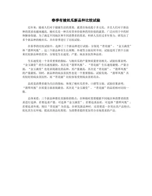 春季有棱丝瓜新品种比较试验