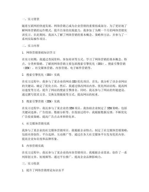 网络营销实训实习报告