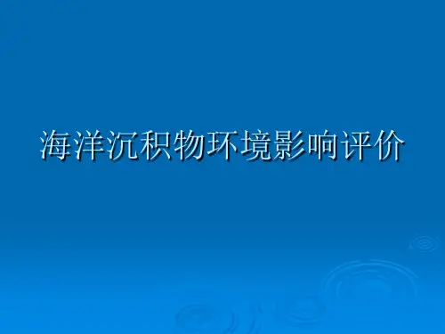 第八章 海洋沉积物环境影响评价