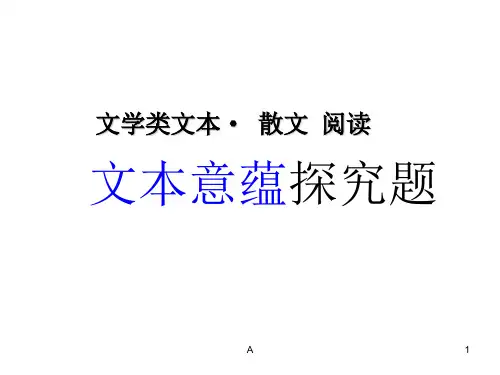 文本意蕴探究