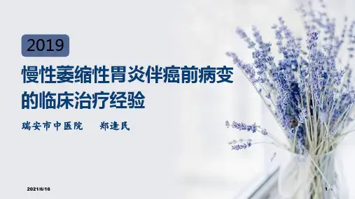 慢性萎缩性胃炎伴癌前病变的临床治疗经验