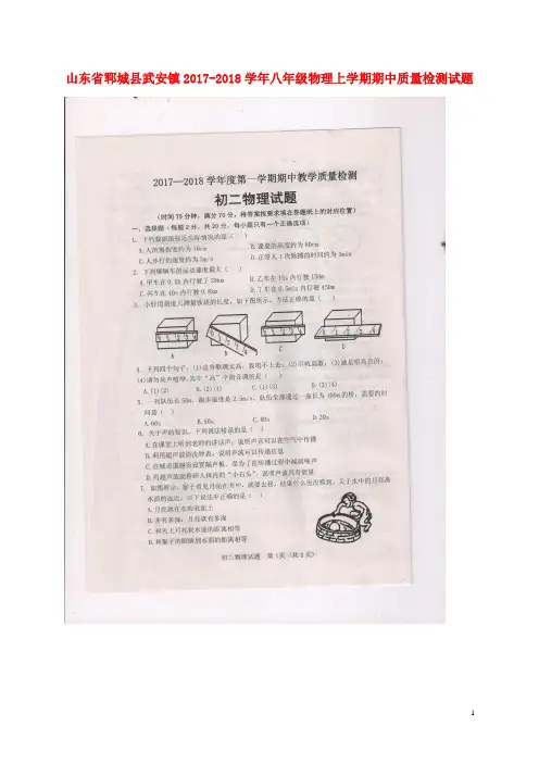 山东省郓城县武安镇八年级物理上学期期中质量检测试题