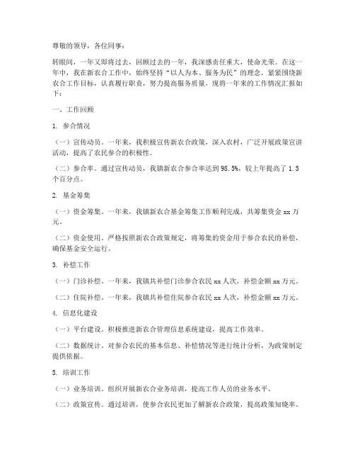 新农合年终述职报告