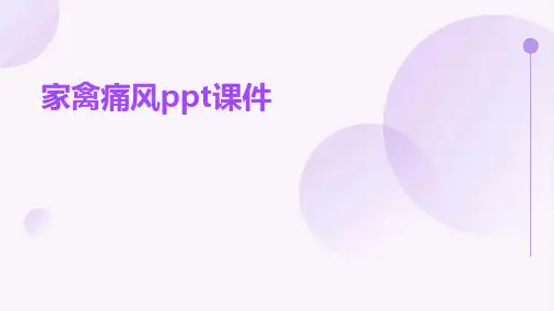 家禽痛风ppt课件