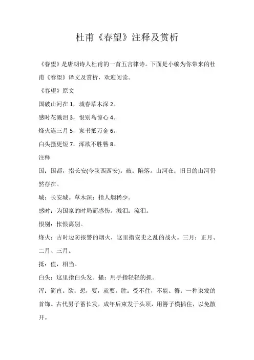 初中素材杜甫《春望》注释及赏析