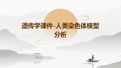 遗传学课件遗传学实验-人类染色体核型分析