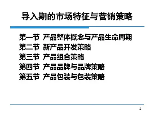 导入期的市场特征与营销策略
