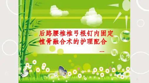 腰椎内固定加融合术护理配合ppt课件