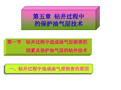第5章  钻井过程中的保护油气层技术