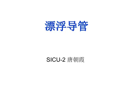 漂浮导管