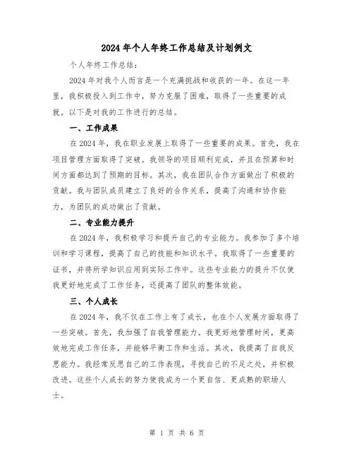 2024年个人年终工作总结及计划例文(3篇)