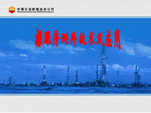 裸眼井测井技术及应用