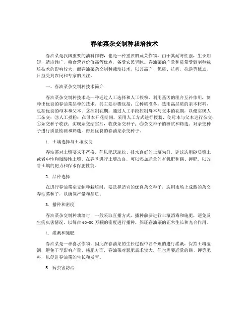 春油菜杂交制种栽培技术