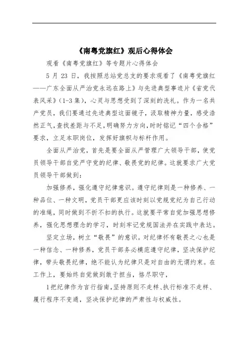 《南粤党旗红》观后心得体会