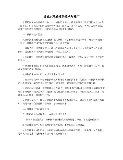 浅析水稻机插秧技术与推广