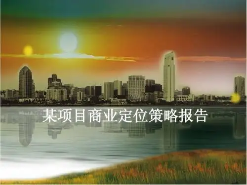 商业定位策略报告修改案