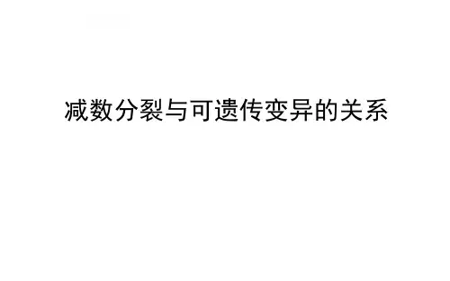 减数分裂与可遗传变异的关系