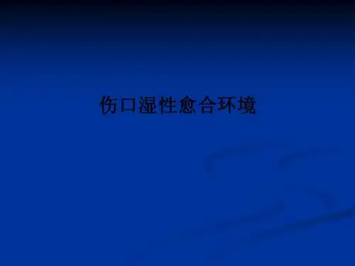 伤口湿性愈合环境PPT课件