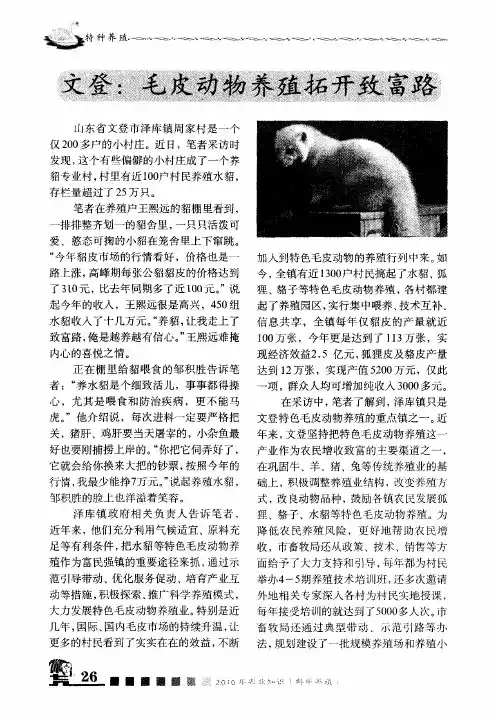 文登：毛皮动物养殖拓开致富路