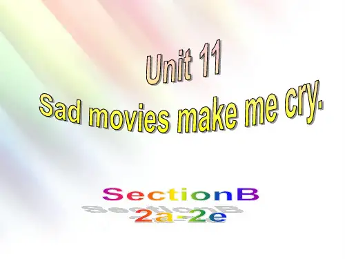 人教版九年级英语第十一单元Unit11 SectionB(2a-2e)