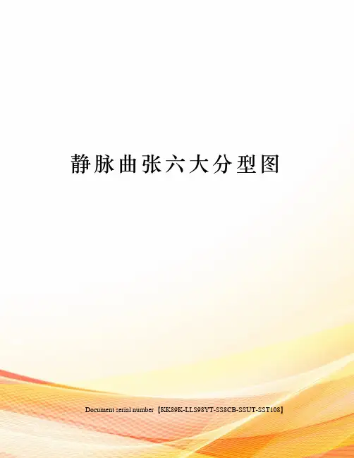 静脉曲张六大分型图