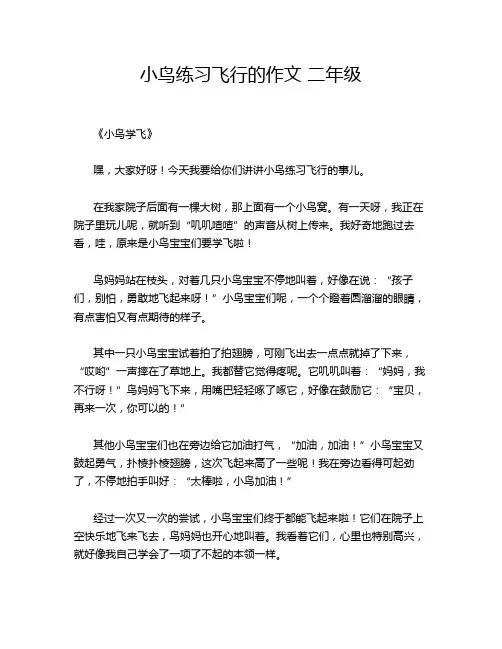 小鸟练习飞行的作文 二年级