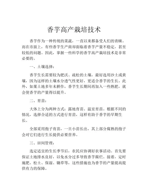香芋高产栽培技术