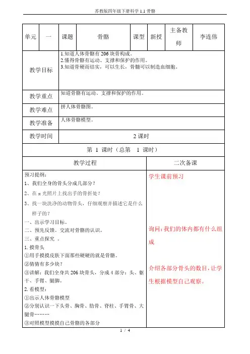 苏教版四年级下册科学1.1骨骼