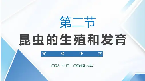 7.1.2昆虫的生殖和发育第1课时课件2023-2024学年人教版生物八年级下册