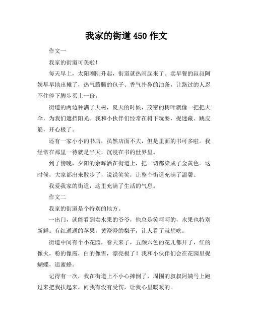 我家的街道450作文