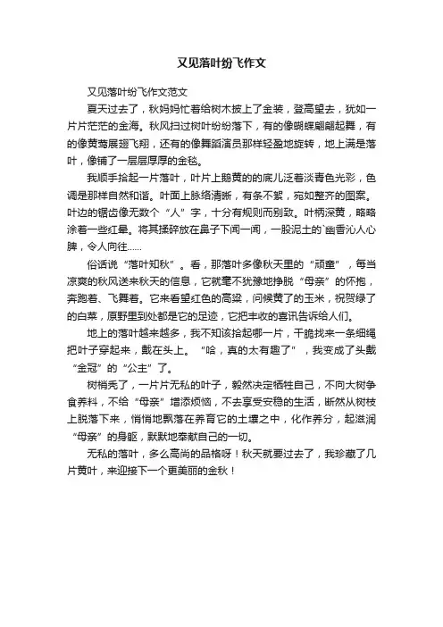 又见落叶纷飞作文范文