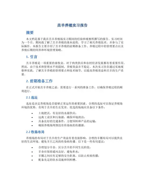 羔羊养殖实习报告