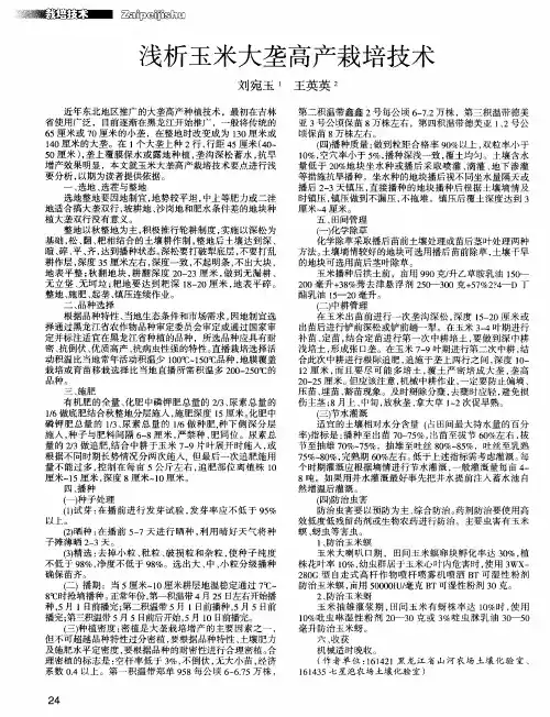 浅析玉米大垄高产栽培技术