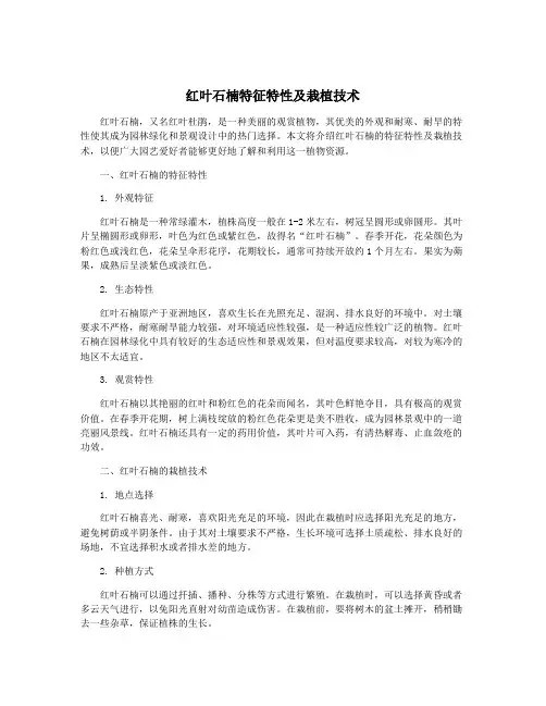 红叶石楠特征特性及栽植技术 2